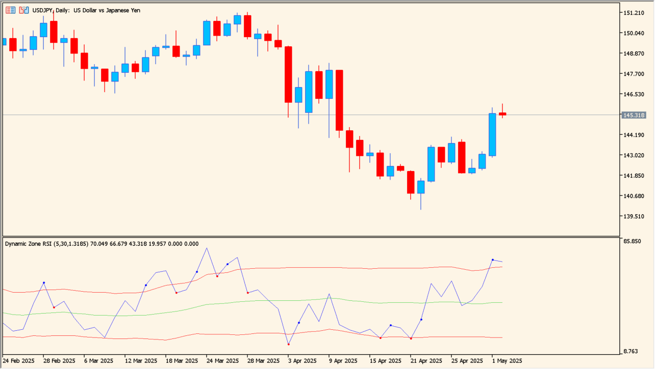 dynamic-zone-rsi chart overview