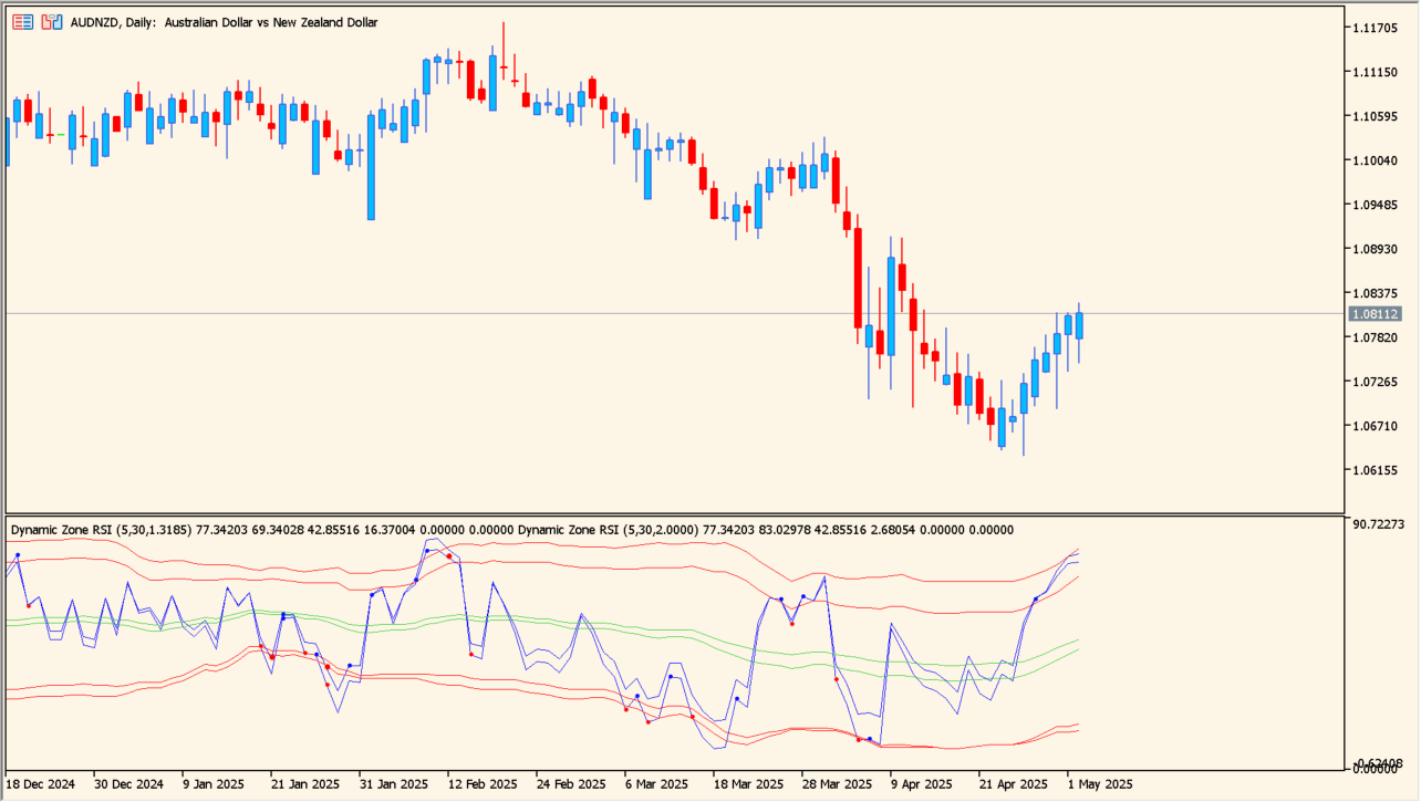 dynamic-zone-rsi