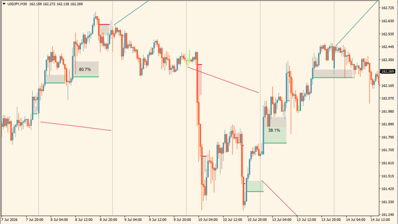 Fair Value Gap Absorption Indicator